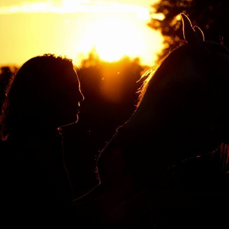 Quest Sunset 768x767